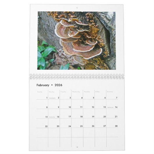 Kalender - Schimmel onder ons (Feb 2026)