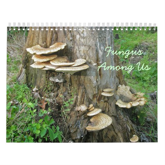 Kalender - Schimmel onder ons (Hoes)