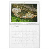 Kalender - Schimmel onder ons (Mar 2027)