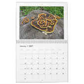 Kalender - Schimmel onder ons (Jan 2027)