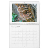 Kalender - Schimmel onder ons (Feb 2027)