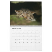Kalender - Scottish wildcat (Feb 2026)