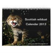 Kalender - Scottish wildcat (Hoes)