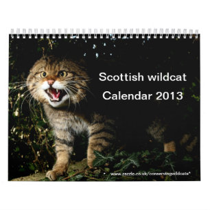 Kalender - Scottish wildcat