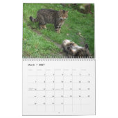 Kalender - Scottish wildcat (Mar 2027)