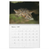 Kalender - Scottish wildcat (Feb 2027)