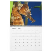 Kalender Seapaarden en Dragons (Jan 2027)