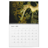 Kalender Seapaarden en Dragons (Mar 2027)