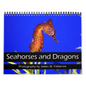 Kalender Seapaarden en Dragons (Hoes)