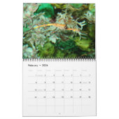 Kalender Seapaarden en Dragons (Feb 2026)
