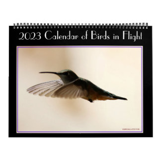 Kalender van 2020 voor vogels tijdens de vlucht