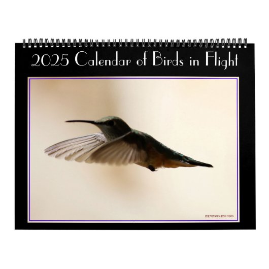 Kalender van 2020 voor vogels tijdens de vlucht (Hoes)