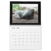 kalender van apen (Mar 2026)