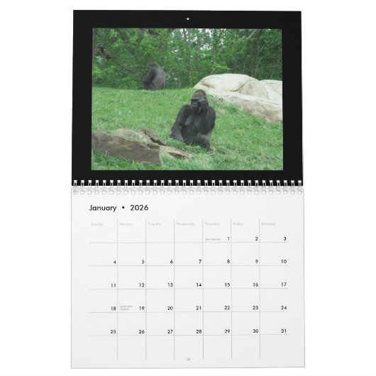 kalender van apen (Jan 2026)