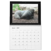 kalender van apen (Mar 2027)