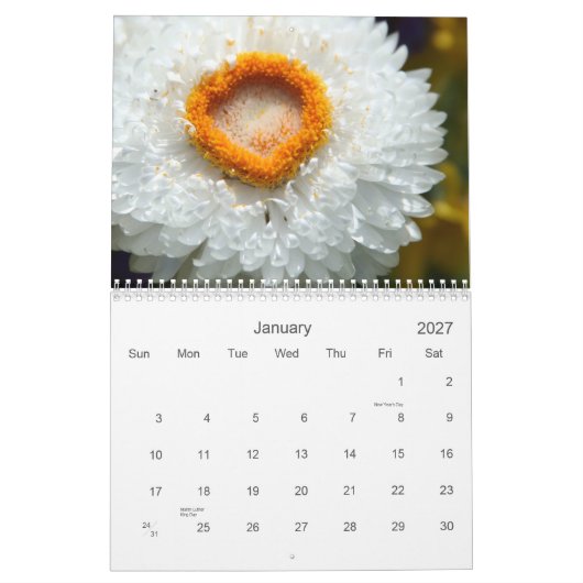 Kalender van bloemen (Jan 2027)