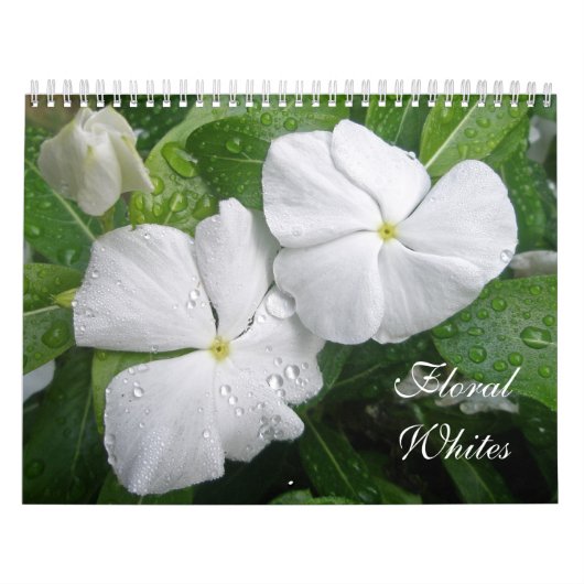 Kalender van bloemenblanken (Hoes)