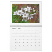 Kalender van bloemenblanken (Jan 2027)