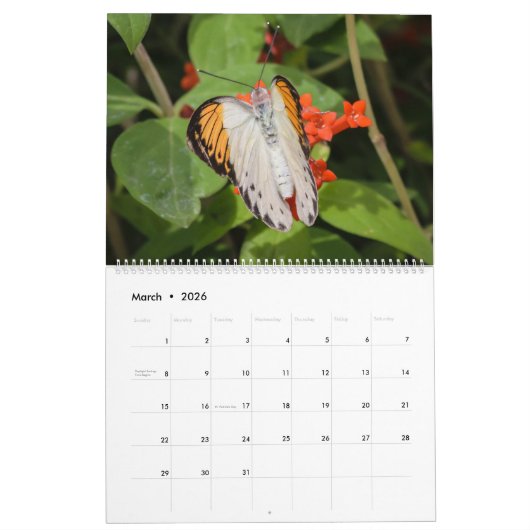 Kalender van buiken en pijlers (Mar 2026)