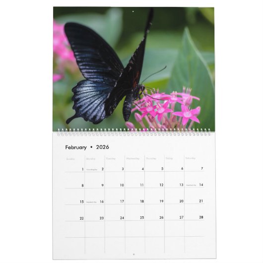 Kalender van buiken en pijlers (Feb 2026)