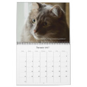 Kalender van Dave's Garden 2025 (Jan 2027)