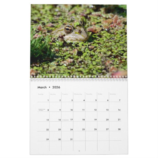 kalender van de dieren (Mar 2026)