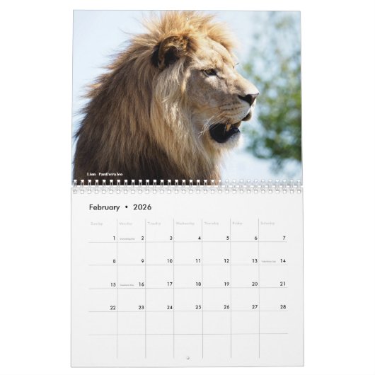 kalender van de dieren (Feb 2026)