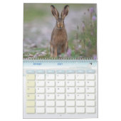 Kalender van de dieren in het bos (Feb 2027)
