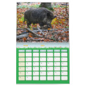 Kalender van de dieren in het bos (Mar 2026)