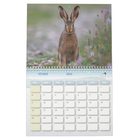 Kalender van de dieren in het bos (Feb 2026)