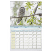 Kalender van de dieren in het bos (Jan 2026)