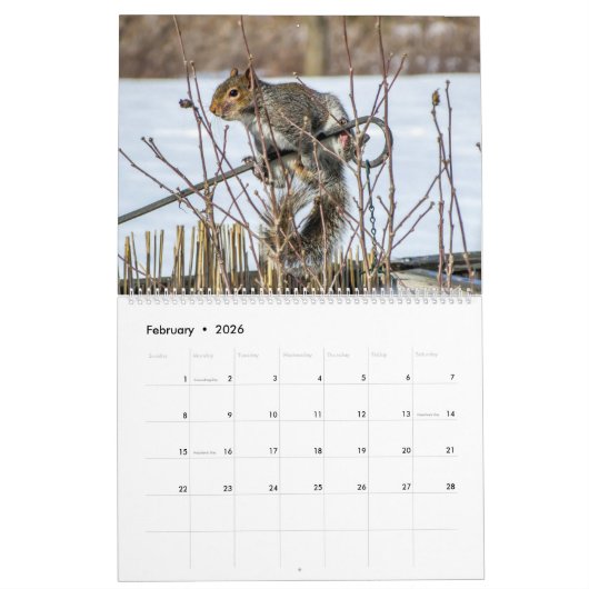 Kalender van de eekhoorns van het meer van Hallowe (Feb 2026)