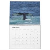Kalender van de Humpback Whales (Jan 2027)