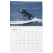 Kalender van de Humpback Whales (Feb 2026)