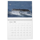 Kalender van de Humpback Whales (Jan 2026)