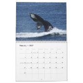 Kalender van de Humpback Whales (Feb 2027)