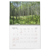 Kalender van de overmakingen 2011: Een toekomst zo (Feb 2027)