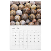 Kalender van de planken 2017 (Mar 2026)
