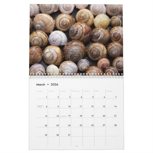 Kalender van de planken 2017 (Mar 2026)