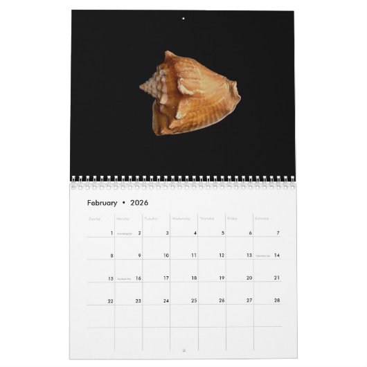 Kalender van de planken 2017 (Feb 2026)