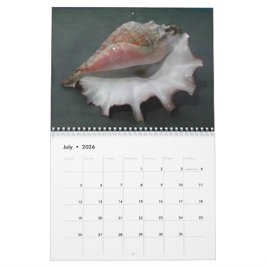Kalender van de planken 2017 (Jul 2026)