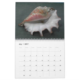 Kalender van de planken 2017