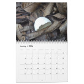 Kalender van de planken 2017 (Jan 2026)