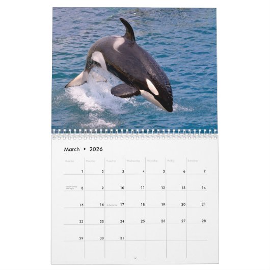 Kalender van de walvissen (Mar 2026)