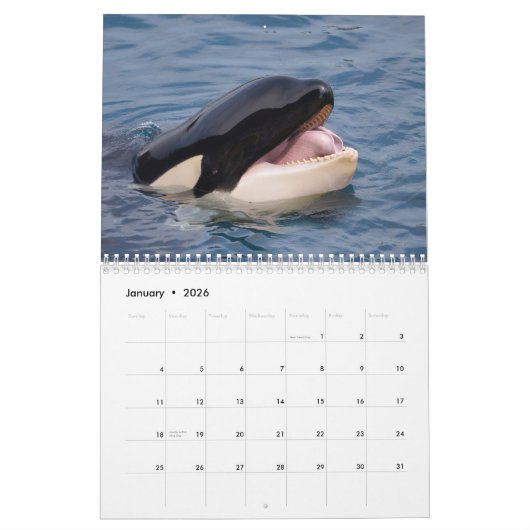 Kalender van de walvissen (Jan 2026)