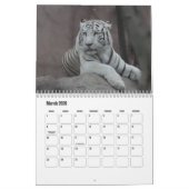Kalender van de witte tijgers (Mar 2026)
