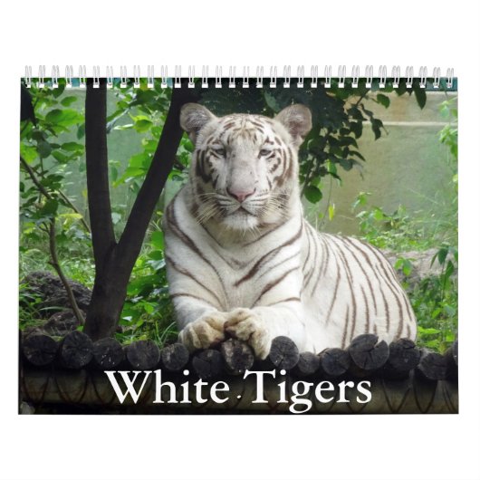 Kalender van de witte tijgers (Hoes)