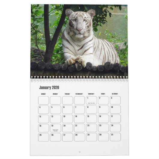 Kalender van de witte tijgers (Jan 2026)