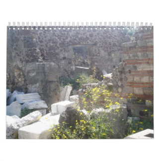 Kalender van deuren 2008