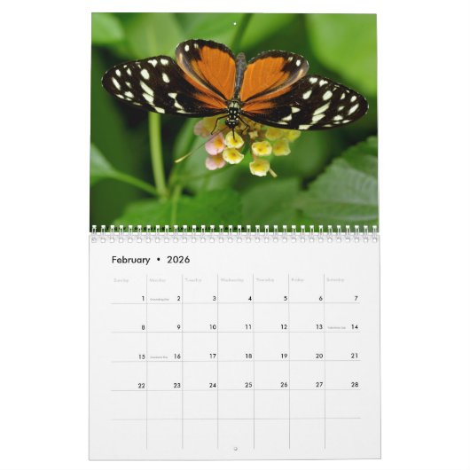 Kalender van diverse insecten (Feb 2026)